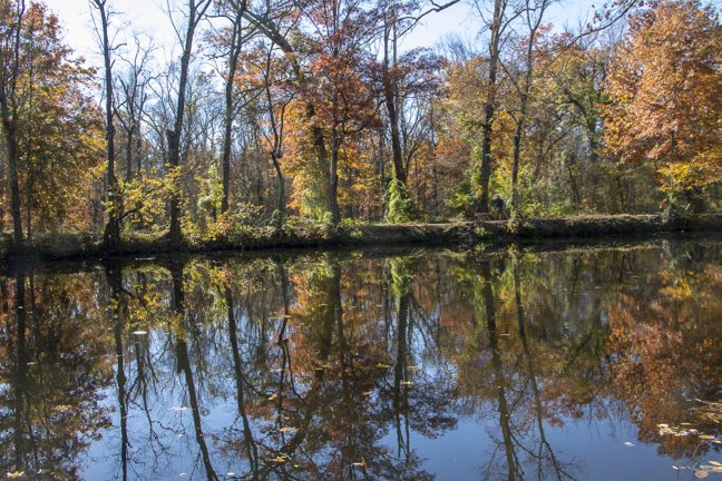 The Reflection (Flemer Preserve) - Madison Hegedus