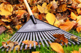 County Offers Leaf Clean-Up Help To Elderly And Disabled Residents