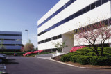 Denholtz Associates Buys Executive Drive Office Building