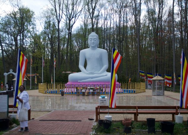 Buddha's Birthday 20153