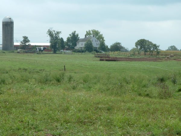 Farmland1