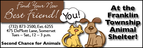 Adopt, don't shop, at the Franklin Township Animal Shelter
